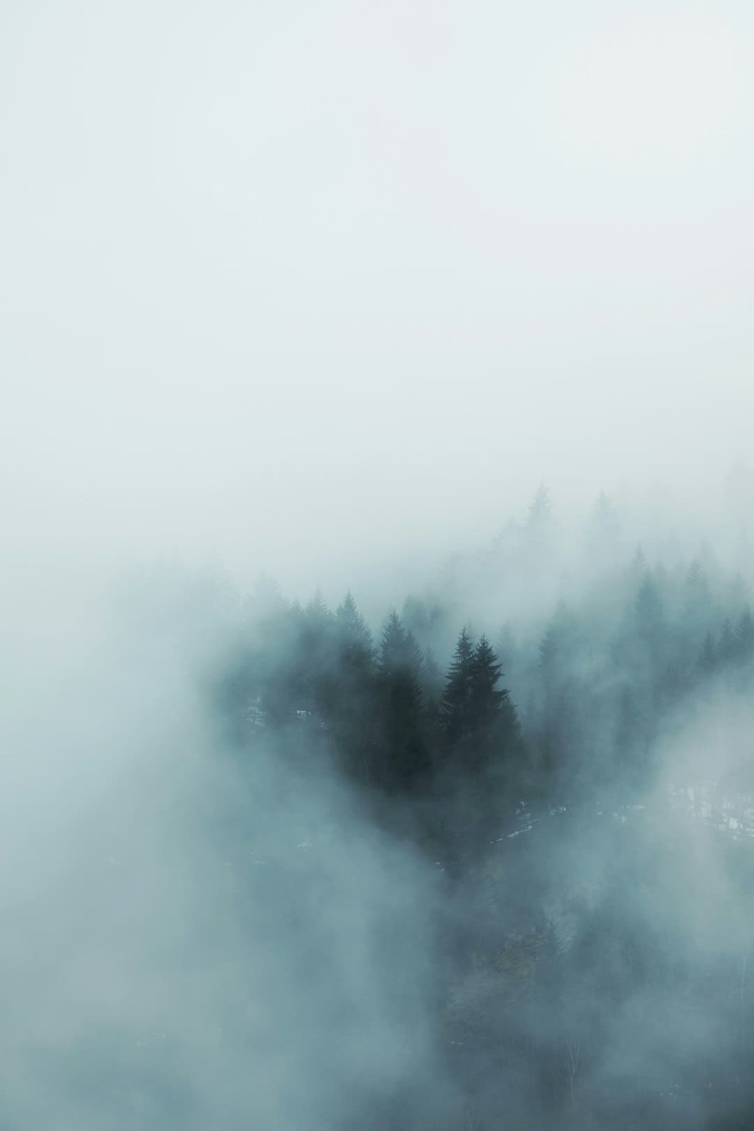 https://img1.utuku.imgcdc.com/650x0/news/20250809/dc839938-5322-41c4-98ca-034aa9257d73.jpg